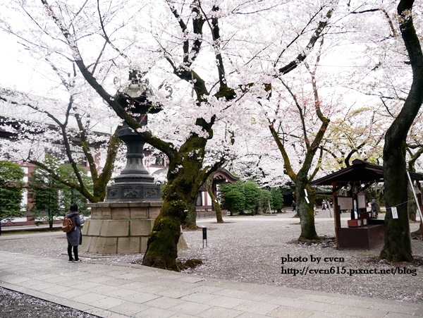 20190331日本之旅648-20190402.JPG