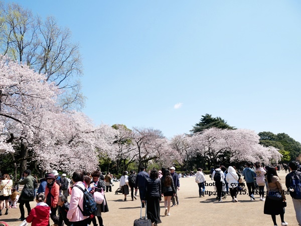 20190331日本之旅735-20190402.JPG