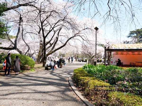 20190331日本之旅742-20190402.JPG