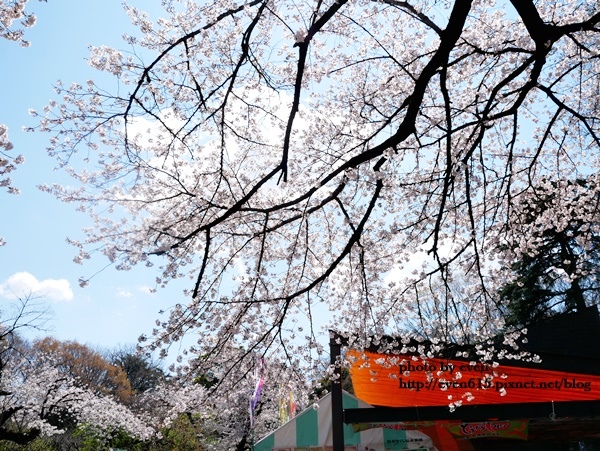 20190331日本之旅740-20190402.JPG