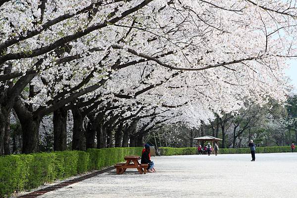 果川首爾大公園