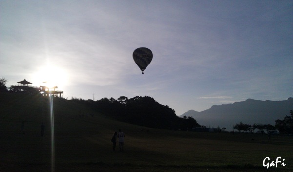 IMAG2207