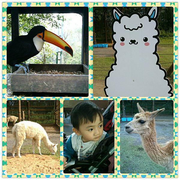 15198_339789196119071_675008744_n