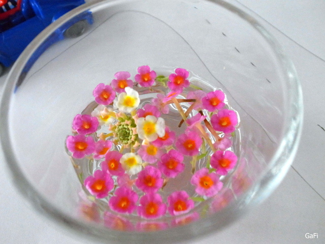 R0084415.JPG R0084415.JPG