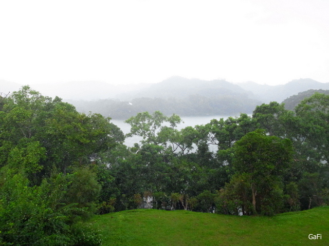 R0084444.JPG R0084444.JPG
