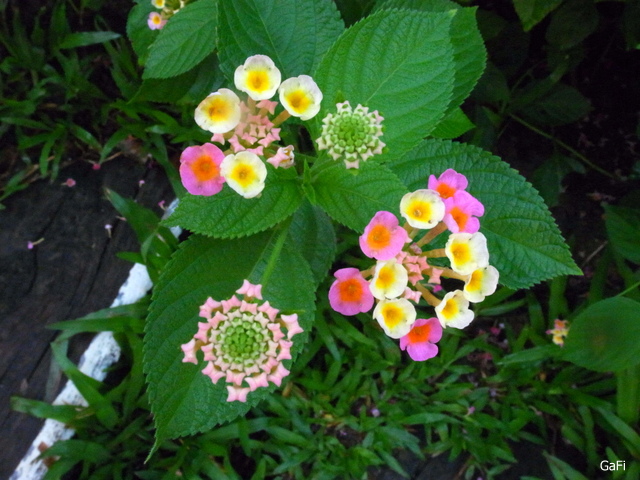 R0084626.JPG R0084626.JPG