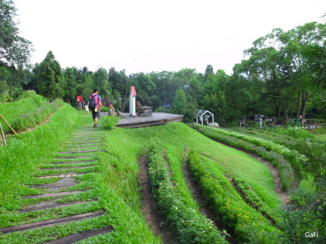 R0084685.JPG R0084685.JPG
