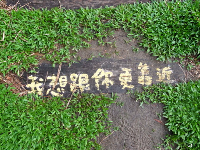 R0084688.JPG R0084688.JPG