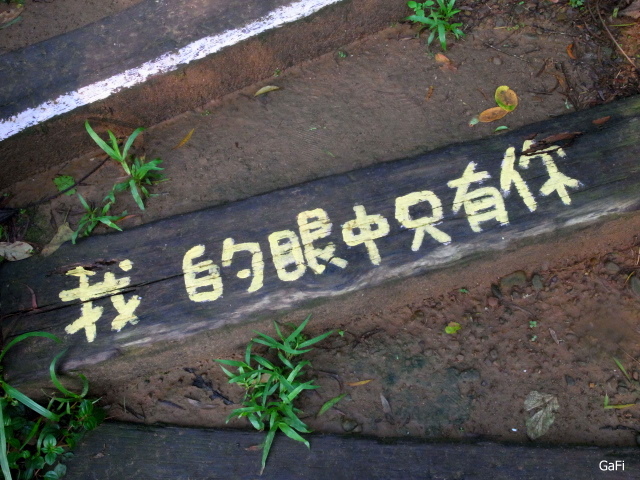 R0084724.JPG R0084724.JPG