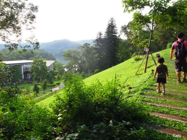 R0084728.JPG R0084728.JPG