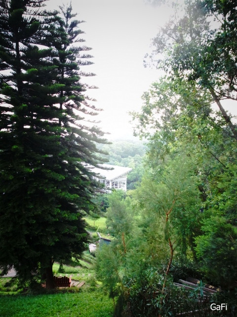R0084773.JPG R0084773.JPG