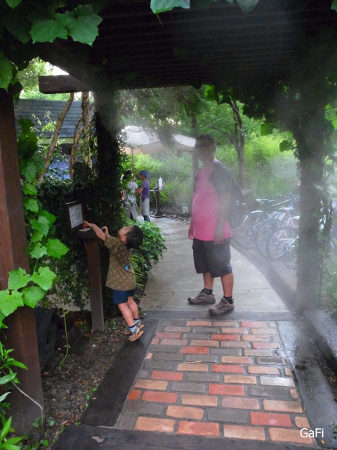 R0084868.JPG R0084868.JPG