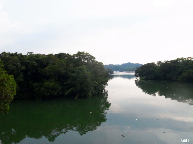 R0084904.JPG R0084904.JPG