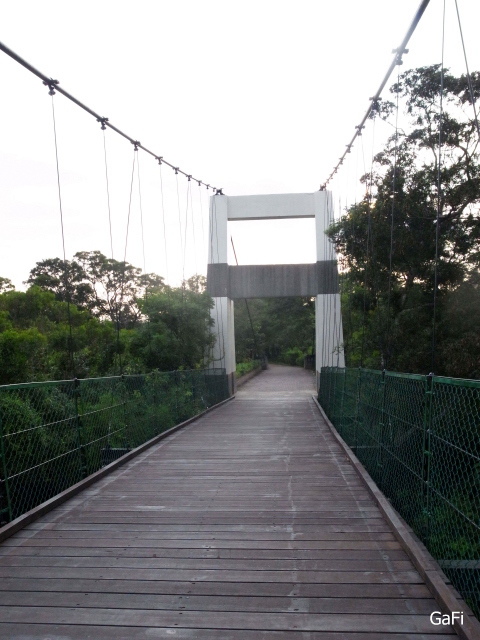 R0084919.JPG R0084919.JPG