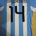 2010 Argentina home back