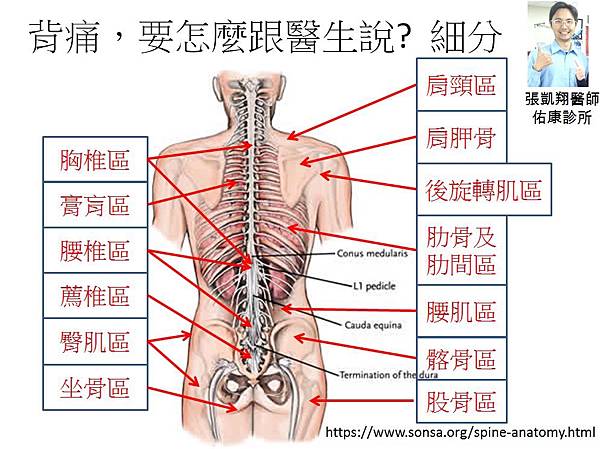 背痛201702-4.jpg