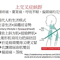 upper crossed syndrome1.jpg