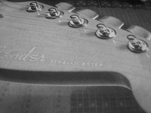 Fender