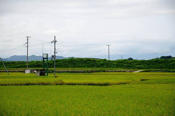 Arashiyama-15.jpg