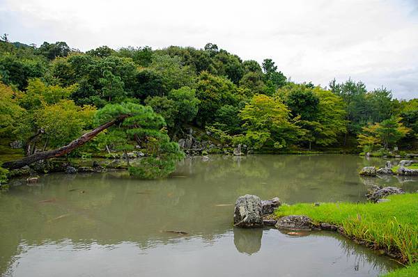 Arashiyama-22