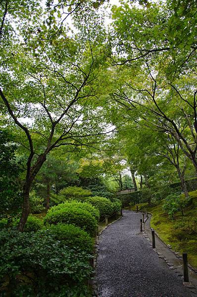 Arashiyama-31