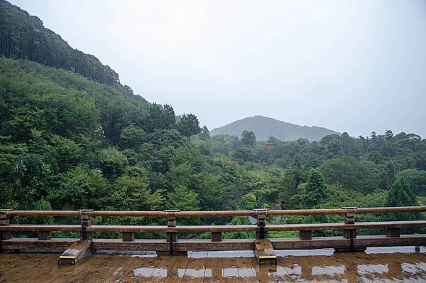 清水寺-京都御所(雨)-3.jpg