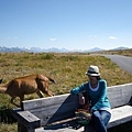 Hurricane Ridge-15.jpg