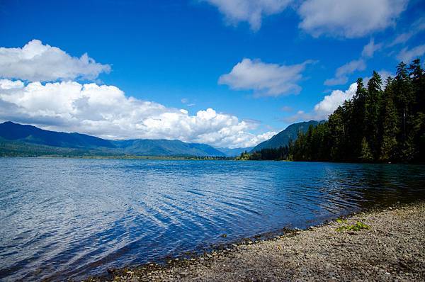 Lake Quinault-28