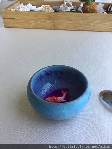 IMG_2290.JPG IMG_2290.JPG