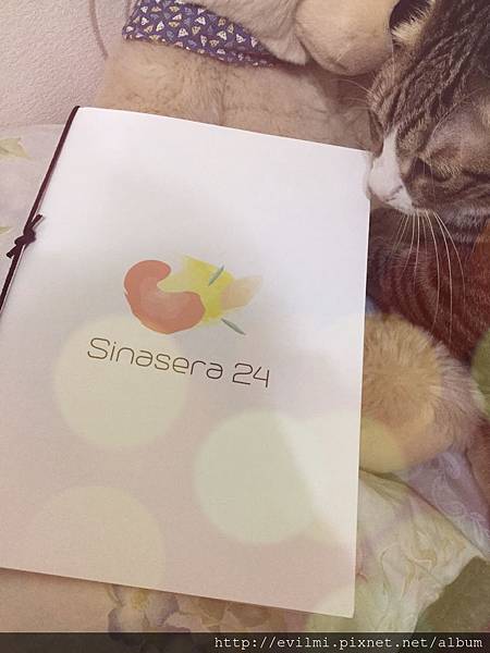 IMG_2369“.jpg IMG_2369“.jpg