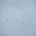 kites