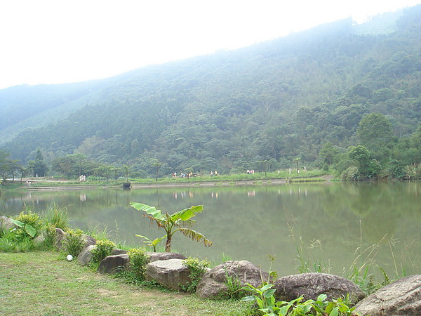 咖啡館外的庭園