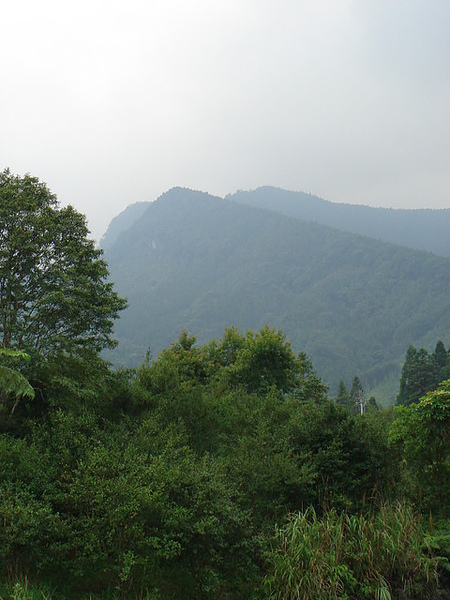 遠處的山巒