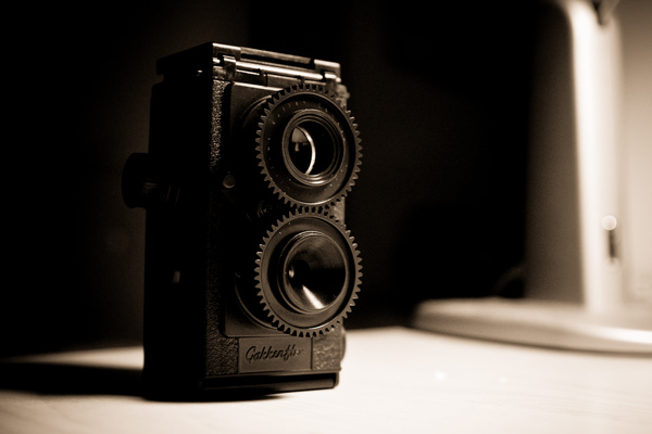 15.TLR(Twin Lens Reflex Camera)