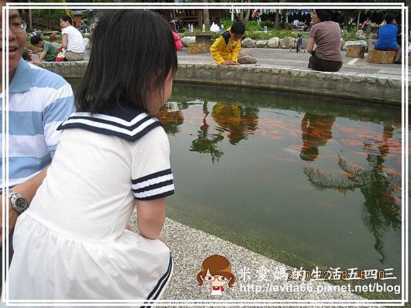 真的好多魚.jpg