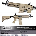 G&G GC16 Raider-S DST電動槍.JPG