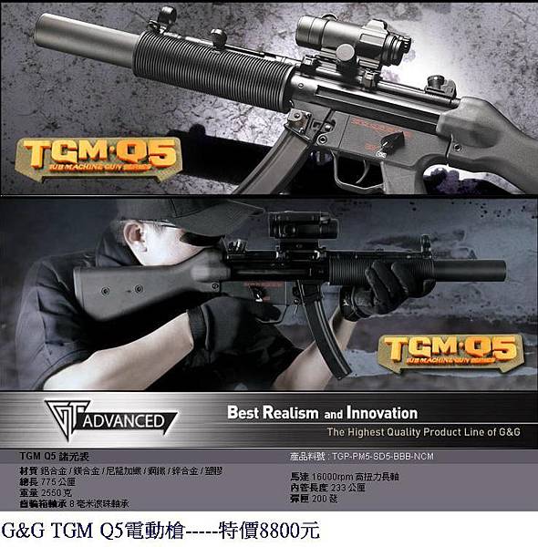 G&G TGM Q5電動槍.JPG