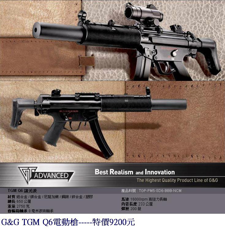 G&G TGM Q6電動槍.JPG