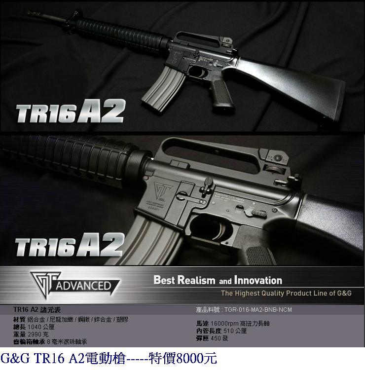 G&G TR16 A2電動槍.JPG