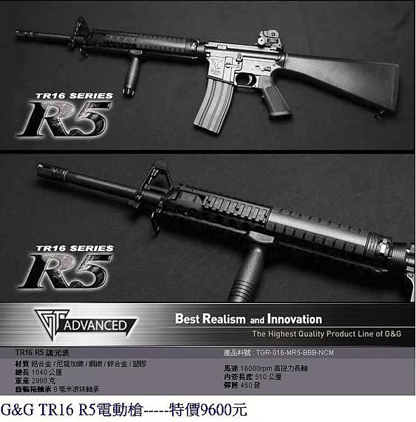 G&G TR16 R5電動槍.JPG