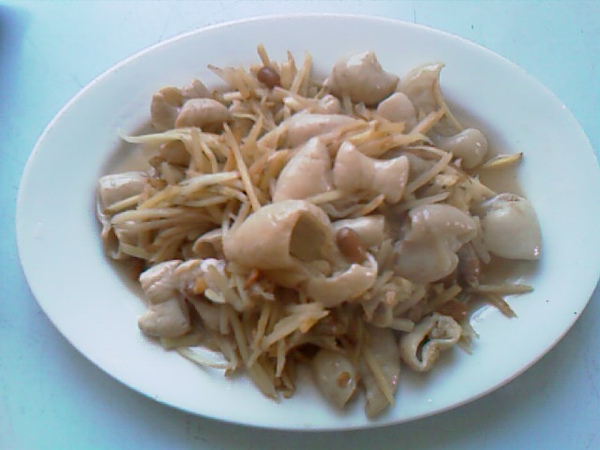 IMAG0065.jpg IMAG0065.jpg