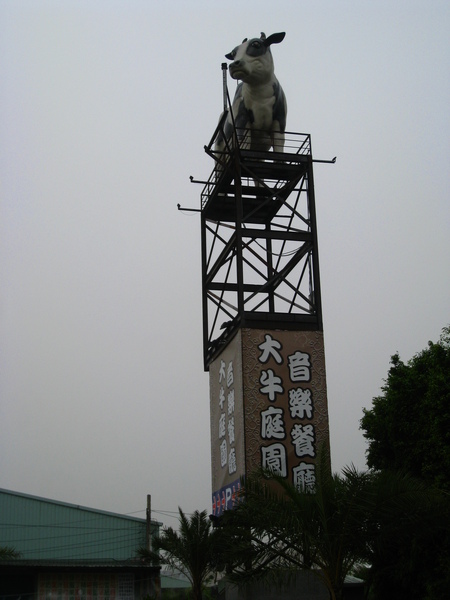 油桐花公園 311.jpg