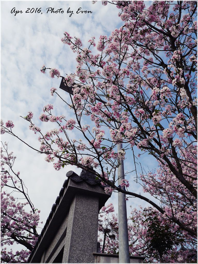 東方寺8.JPG