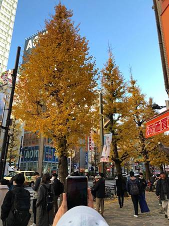 2023.12 靜岡.東京 仨人5日快閃之旅