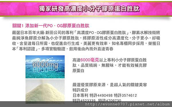 試用