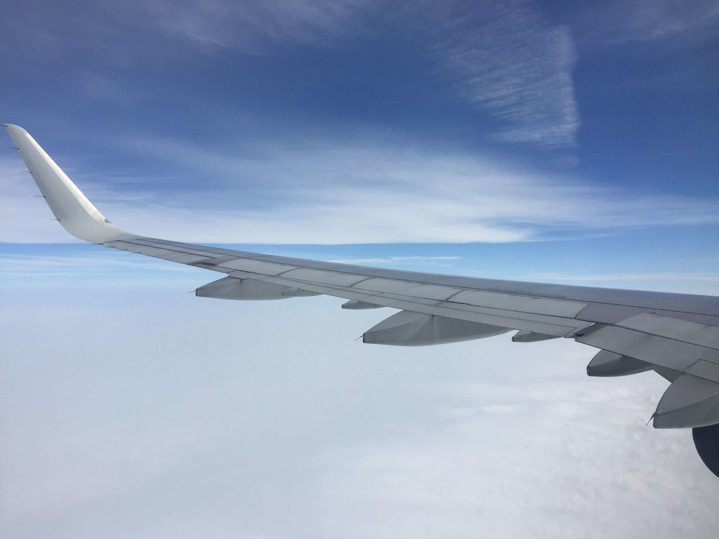 IMG_7677.JPG IMG_7677.JPG