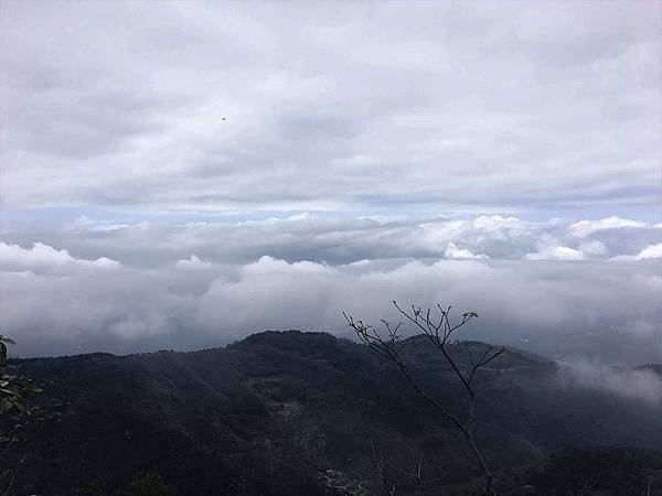 IMG_1871.jpg IMG_1871.jpg