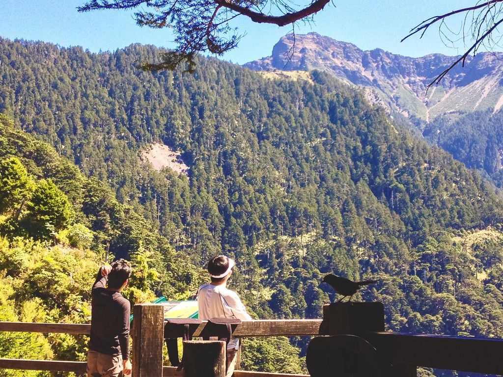 IMG_0812.JPG IMG_0812.JPG