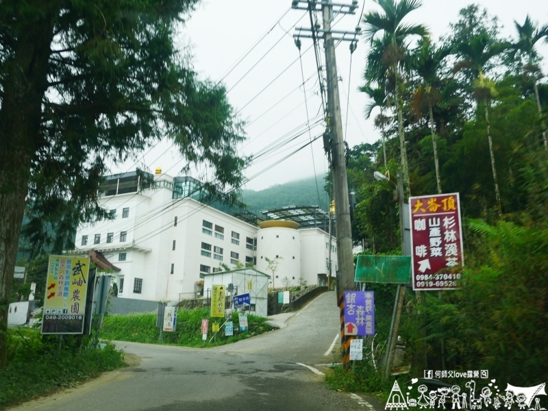 【宏億景觀茶園】真的太熱了 !  想不想躲到海拔1450公尺