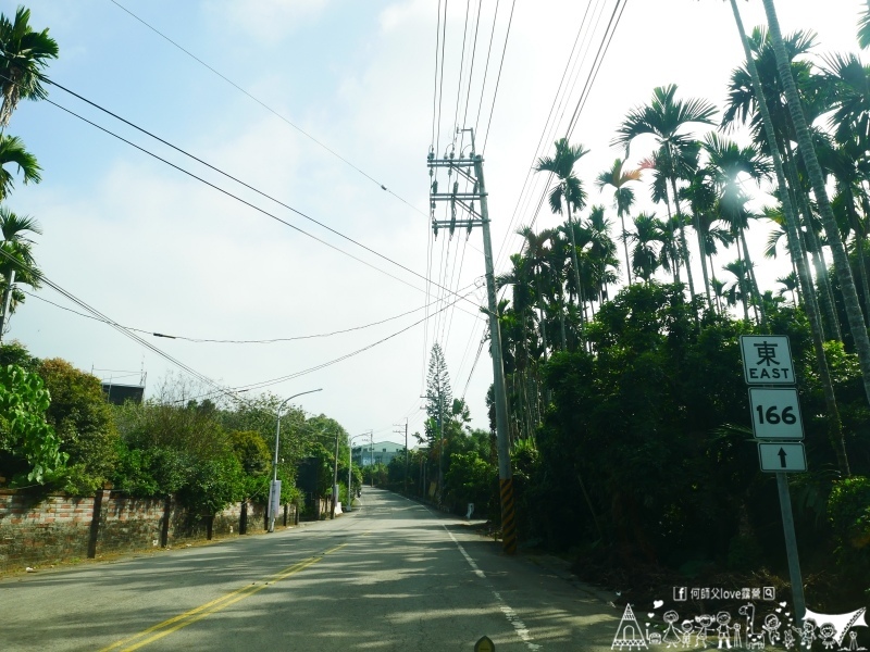 【鞦之林自然生態露營區】嘉義高海拔唯一 ! 絕美阿裏山城市夜景第一排 何師父